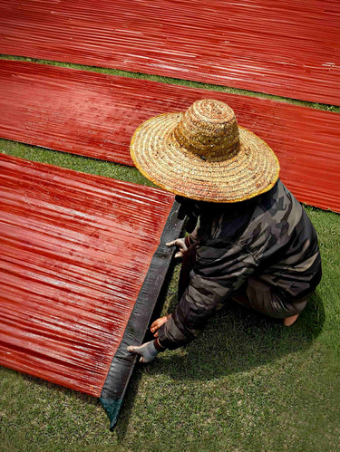 The Sustainable Soul