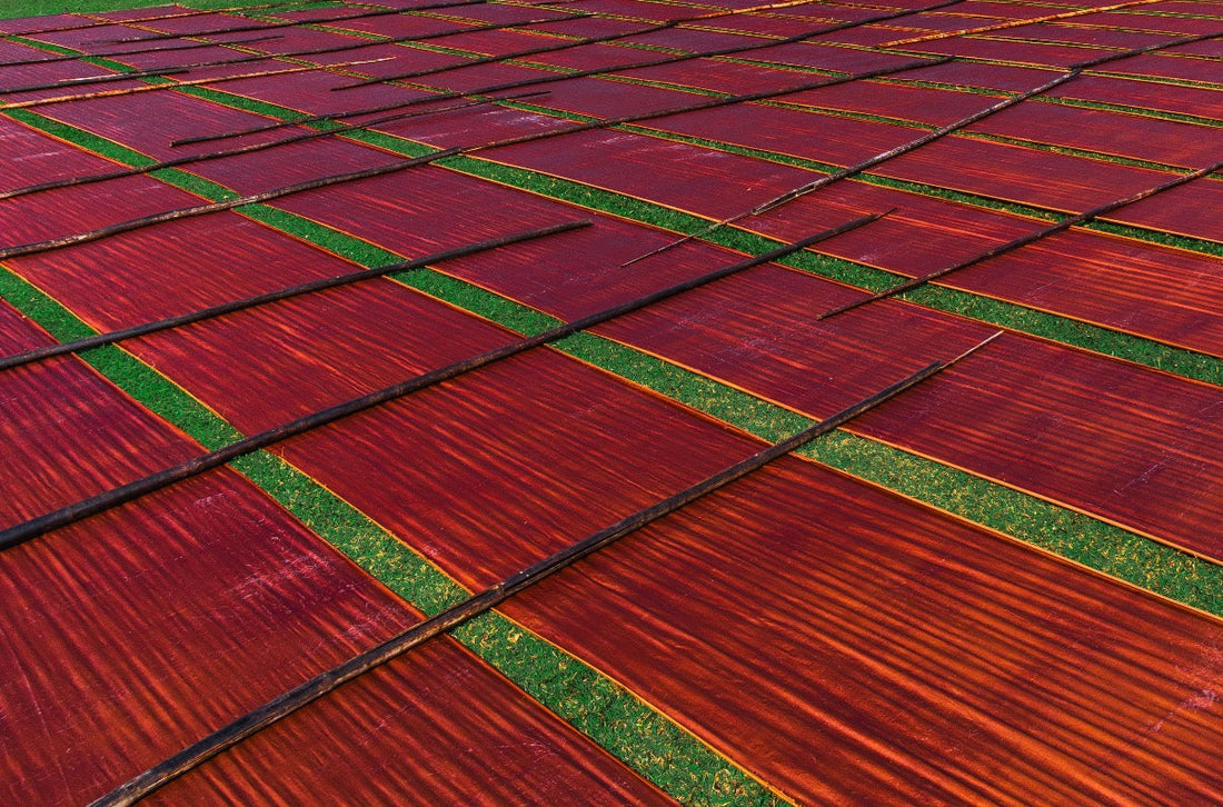 We Found the "Blood" of the Earth: The Shocking Reality Behind the World's Most Expensive Silk